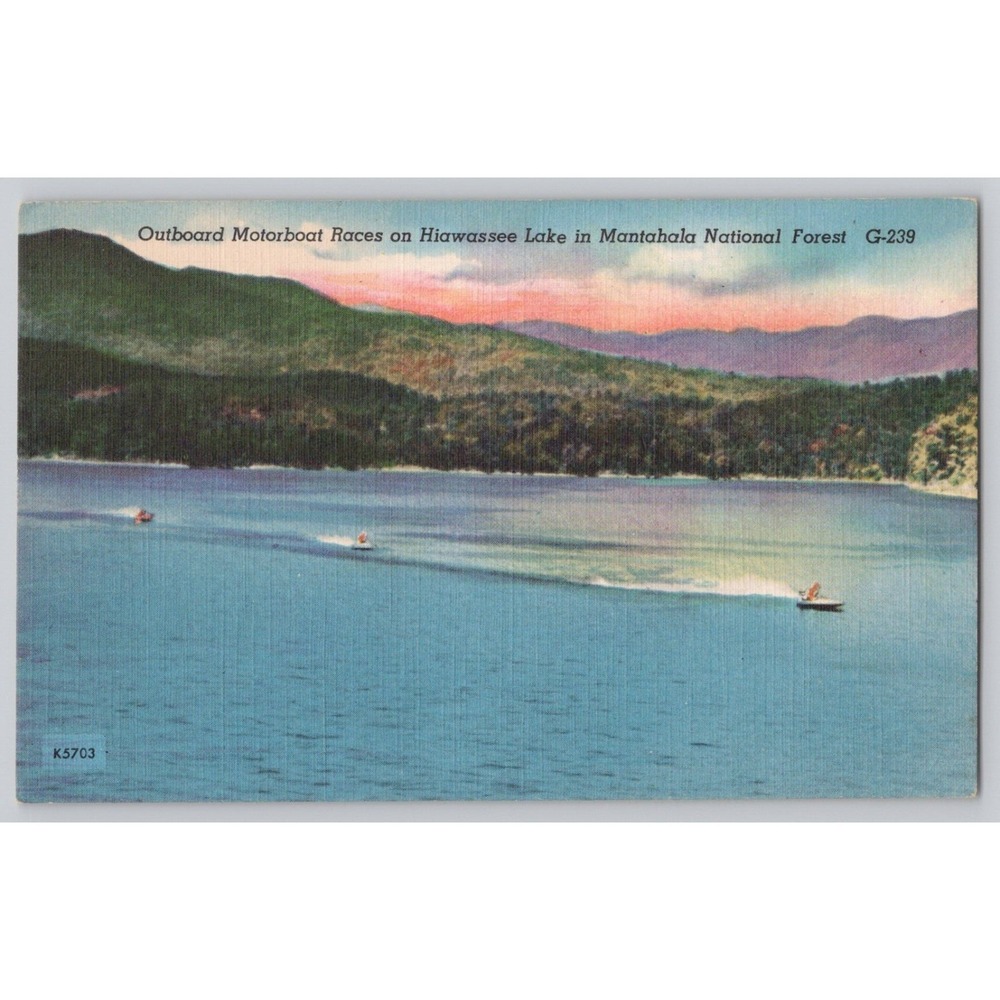 POSTCARD Hiwassee Lake NC Outboard Motorboat Race Nantahala National Forest 1950